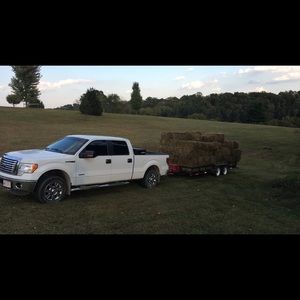 Meet your Posher, Dakota